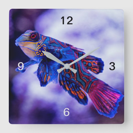 Mandarin Goby Fish Quadratische Wanduhr (Vorderseite)