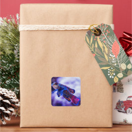 Mandarin Goby Fish Quadratischer Aufkleber