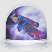 Mandarin Goby Fish Schneekugeln (Vorderseite)