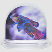 Mandarin Goby Fish Schneekugeln (Rückseite)