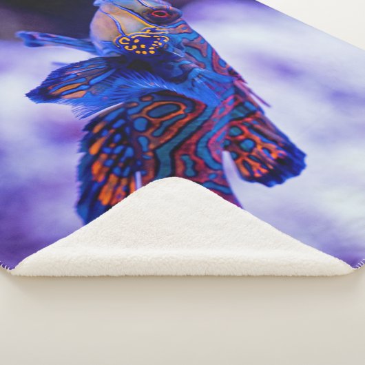 Mandarin Goby Fish Sherpadecke (3/4)