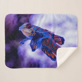 Mandarin Goby Fish Sherpadecke