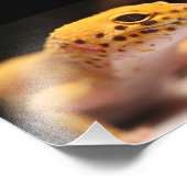 Mandarin Leopard Gecko Foto (Ecke)