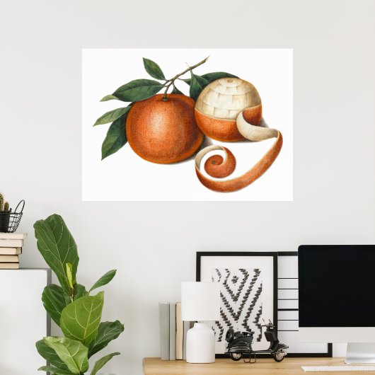 Mandarin Orange Chinesische Malerei Poster (Heimbüro)