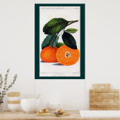 Mandarin Orange Poster (Küche)