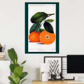 Mandarin Orange Poster (Heimbüro)