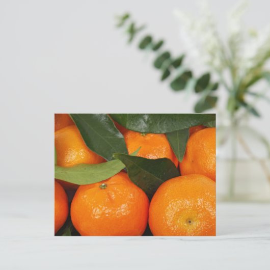 Mandarin Orange Postkarte (Stehend Vorderseite)