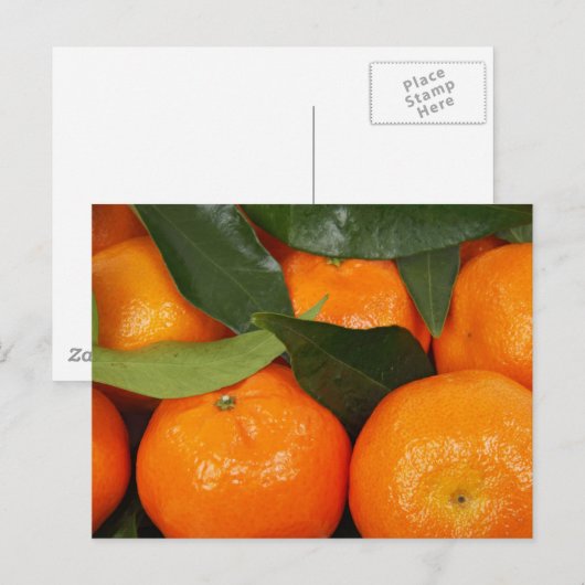 Mandarin Orange Postkarte (Vorne/Hinten)