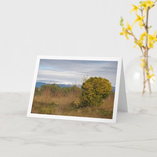 Mandarin Orange Tree and Snowy Mountains Karte (Gelbe Blume)