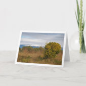 Mandarin Orange Tree and Snowy Mountains Karte (Vorderseite)