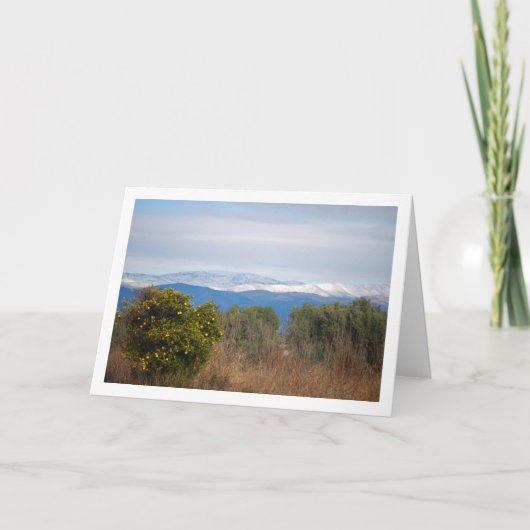 Mandarin Orange Tree and Snowy Mountains Karte (Vorderseite)