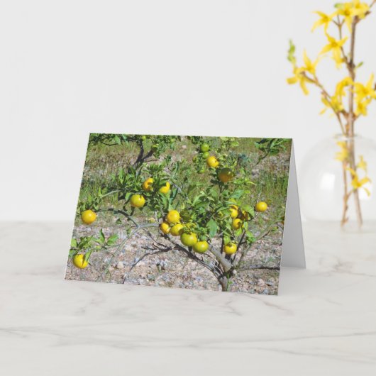 Mandarin Orange Tree Karte (Gelbe Blume)