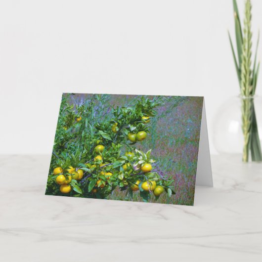 Mandarin Orange Tree Karte (Vorderseite)