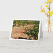 Mandarin Orange Tree Orchard Karte (Gelbe Blume)
