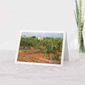 Mandarin Orange Tree Orchard Karte (Vorderseite)