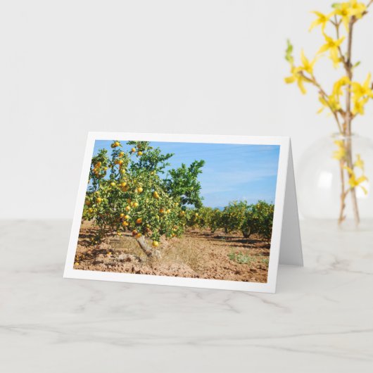 Mandarin Orange Tree Orchard Karte (Gelbe Blume)