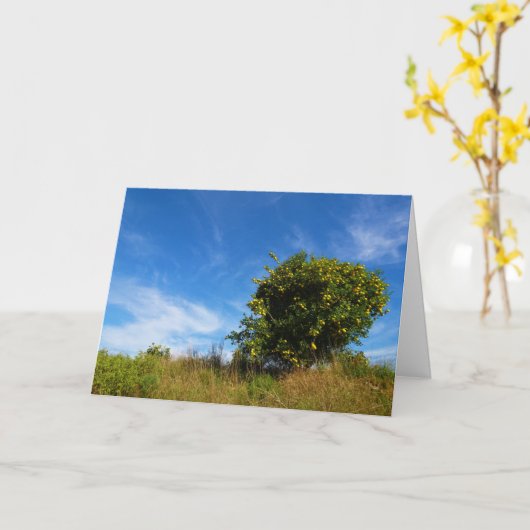 Mandarin Orange Tree Portrait Karte (Gelbe Blume)