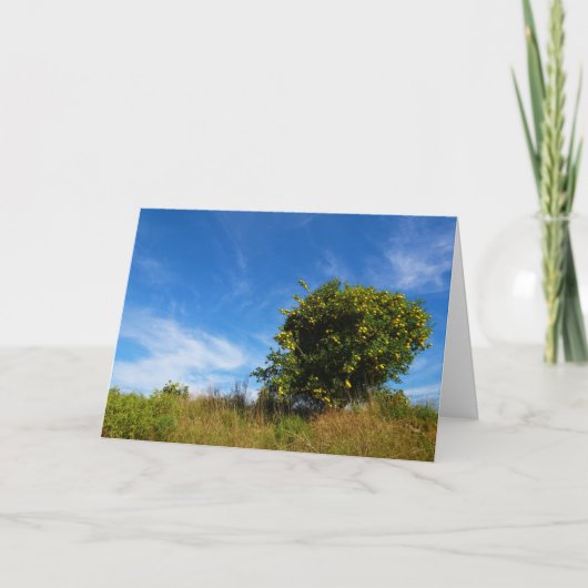 Mandarin Orange Tree Portrait Karte (Vorderseite)