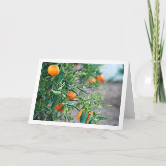 Mandarin Orange Tree Portrait Karte (Vorderseite)