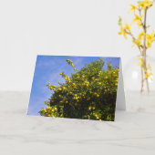 Mandarin Orange Tree Portrait Karte (Gelbe Blume)
