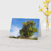 Mandarin Orange Tree Portrait Karte (Gelbe Blume)