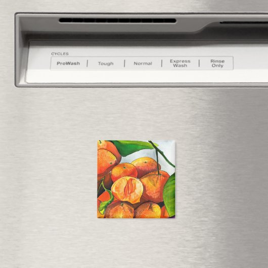 Mandarin-Orangenfrucht Magnet (In Situ (Geschirrspüler))