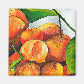 Mandarin-Orangenfrucht Magnet (Vorne)