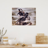 Mandarin Pair Poster (Küche)