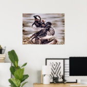 Mandarin Pair Poster (Heimbüro)