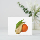 Mandarin - Virtuoso-Doppelstockspieler Postkarte (Stehend Vorderseite)