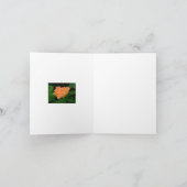 MANDARINE FARBIERTE ROSE (FOTOG) KARTE (Innenseite)