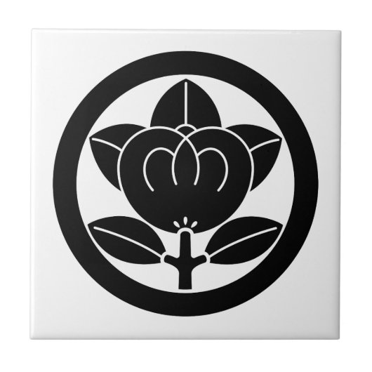 Mandarine in einem Kreis Fliese (Vorderseite)