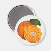 Mandarine Magnet (Vorderseite/Rückseite)