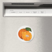 Mandarine Magnet (In Situ (Geschirrspüler))