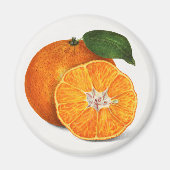 Mandarine Magnet (Vorne)