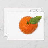 Mandarine mit grünem Blattblättriger Mandarine Postkarte (Vorne/Hinten)