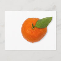 Mandarine mit grünem Blattblättriger Mandarine