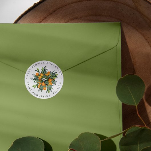 Mandarine Orange | Chic Botanic Rücksendeadresse Runder Aufkleber