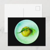 Mandarine Postkarte (Vorne/Hinten)