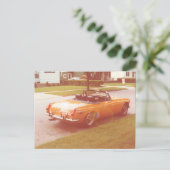 Mandarine Speedo Postkarte (Stehend Vorderseite)