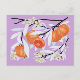 Mandarine Zitrus Blütenzweige Floral Lilac Postkarte