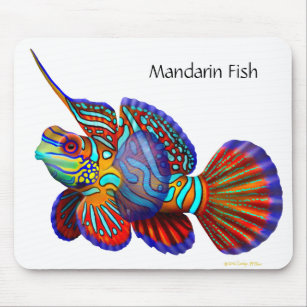 MandarineGoby Dragonet Fische Mousepad