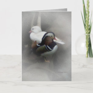 Mandarinen-Ente und Freund… Karte