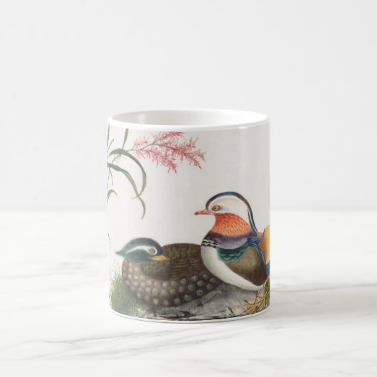 Mandarinen-Enten-chinesische Malerei Kaffeetasse (Mittel)