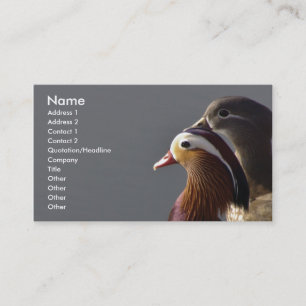 Mandarinen-Enten Visitenkarte