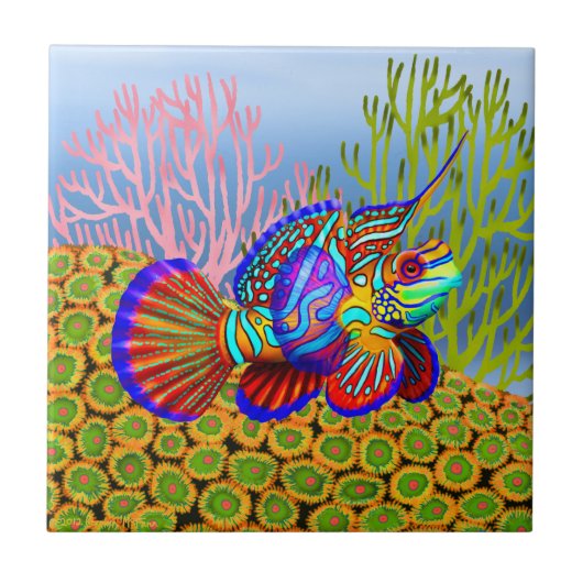 Mandarinen-Fische auf Zoanthid Korallen-Fliese Fliese (Vorderseite)
