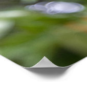 Mandarinen in Bäumen Poster (Ecke)