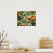Mandarinen in Bäumen Poster (Küche)