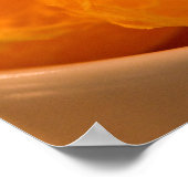 Mandarinen Poster (Ecke)