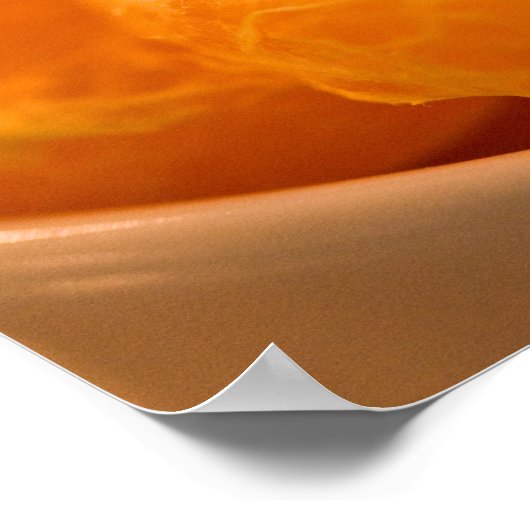 Mandarinen Poster (Ecke)